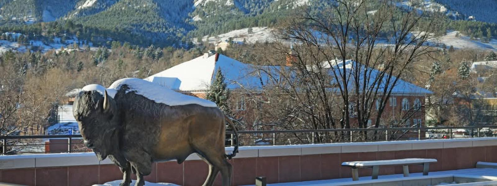 CU Boulder buffalo statue covered in snow