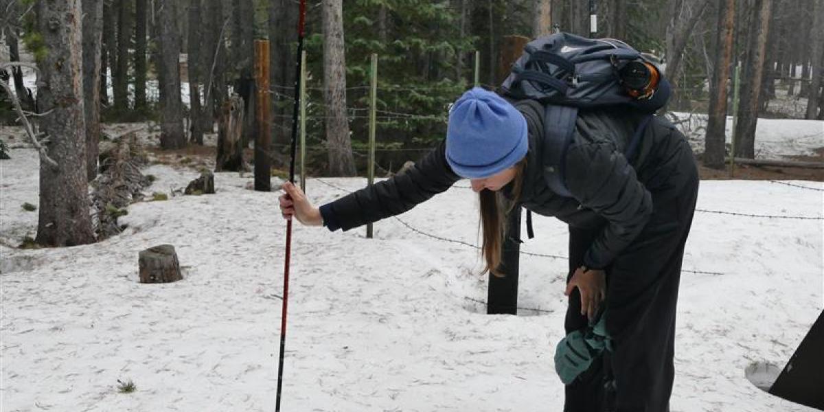 Student measures snowpack