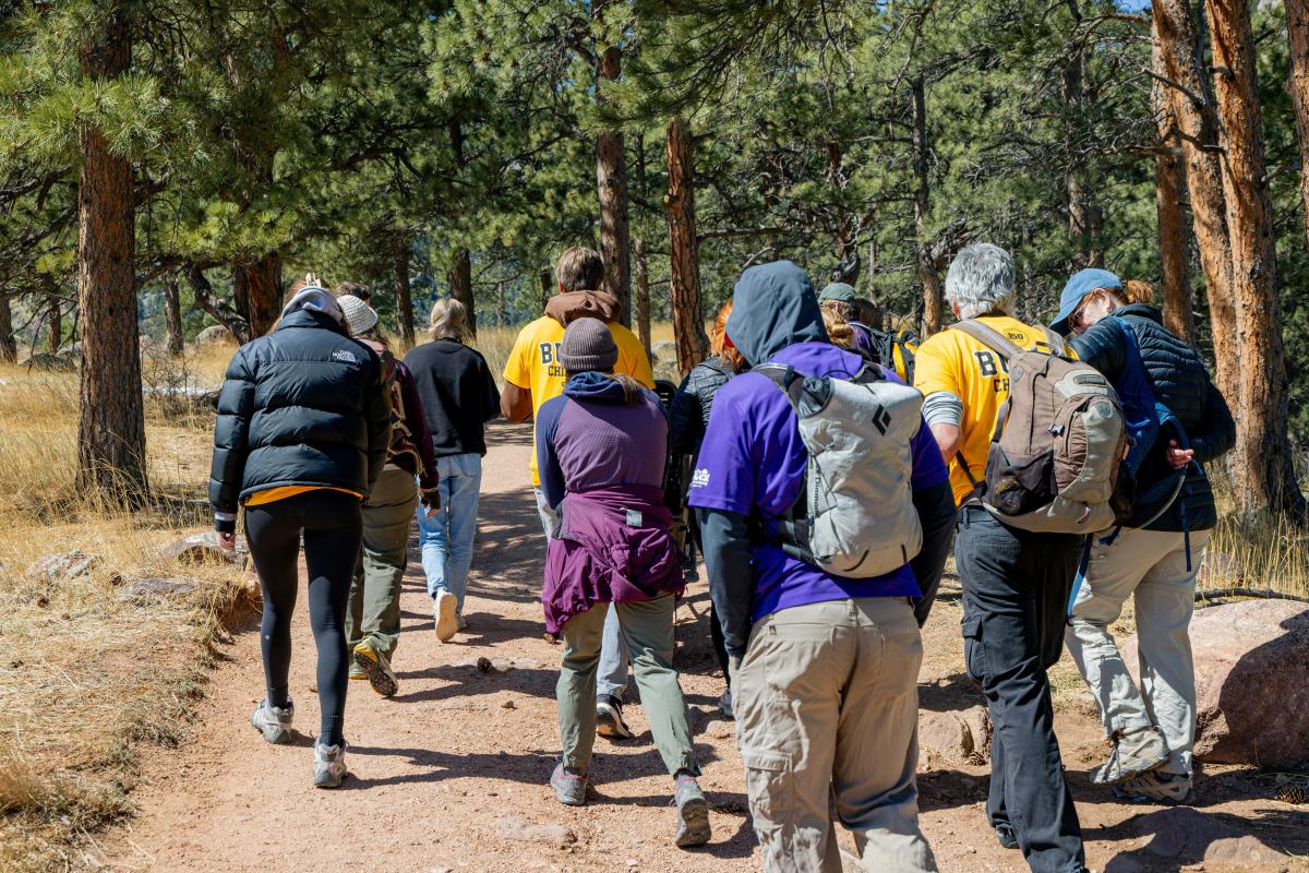people hiking on a trail